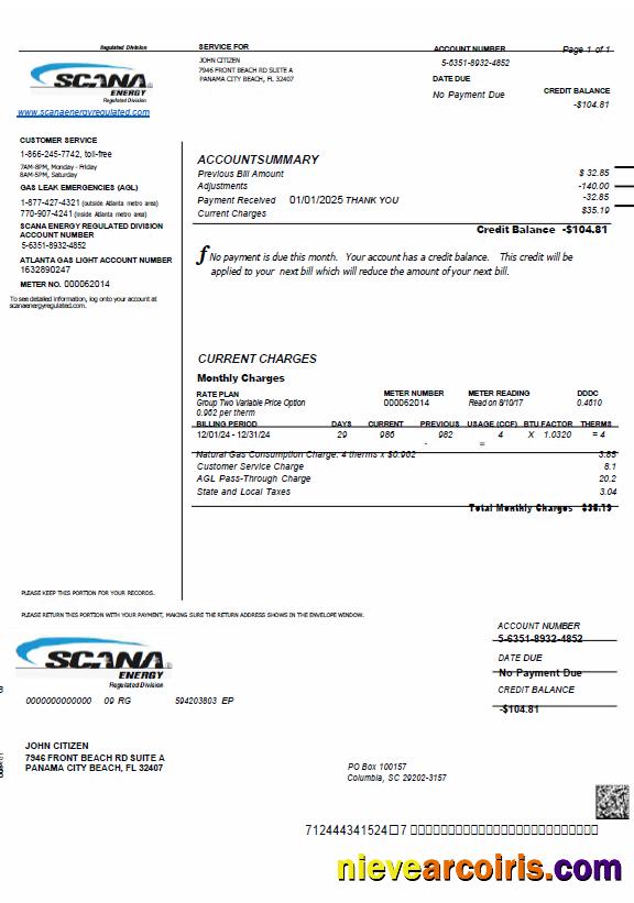 USA SCANA Energy utility bill